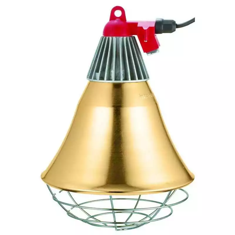 Lampy a �iarovky