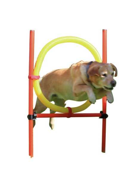 Agility