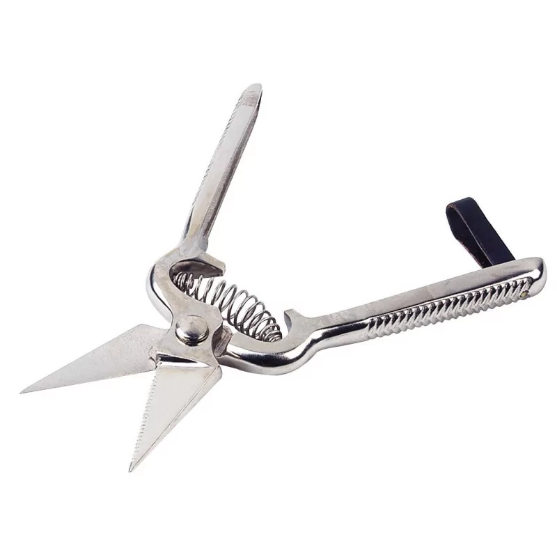 Paznechtov� no�nice, z�bkovan�, 8,5cm