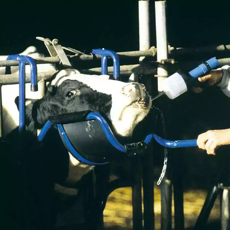 Zdv�ha� hlavy VINK