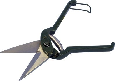 No�nice na paznechty