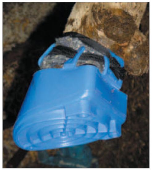 Ochrann� paznehtn� n�vle�ka, univerz�lny model