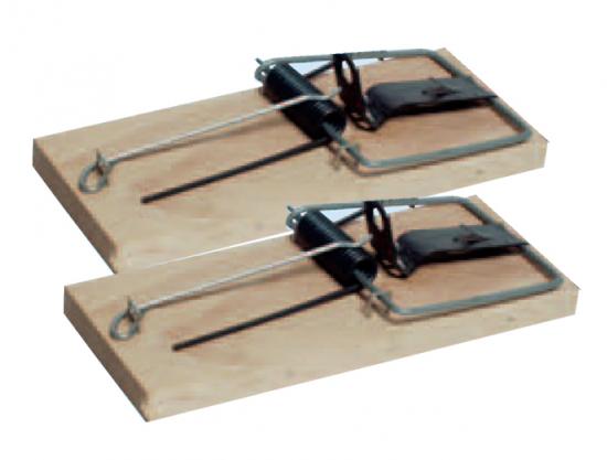 Pasce na my�i dreven�