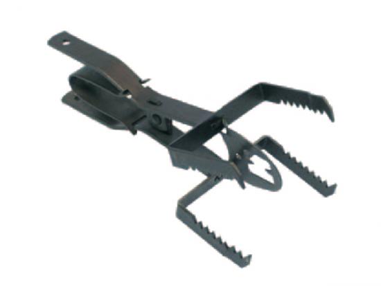 Pasca �e�us�ov� na hrabo�e a hlodavce