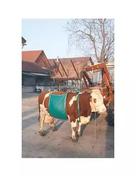 Zdv�hacie zariadenie DAISY LIFTER do 1000 kg