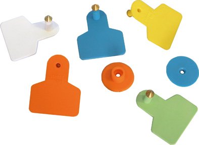 U�n� ter� mal� - biely