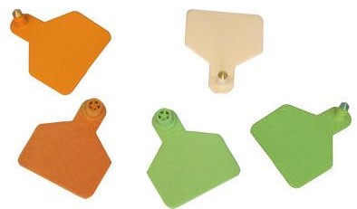 U�n� ter� stredn� dvojit� - �erven�