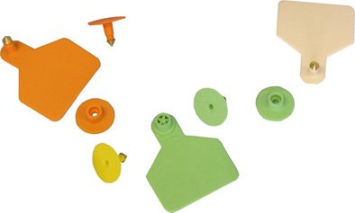 U�n� ter� stredn� jednoduch� - modr�