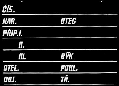 Staj�ov� tabu�ka D 8 plastov� pre kravy