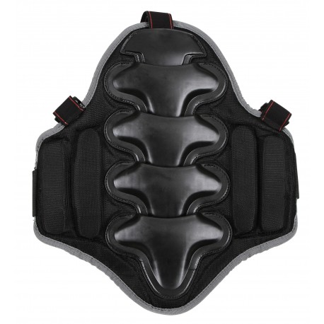 Chr�ni� chrbtice Softec