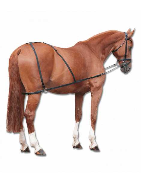 WALDHAUSEN Combi Trainer lon�ovac� postroj