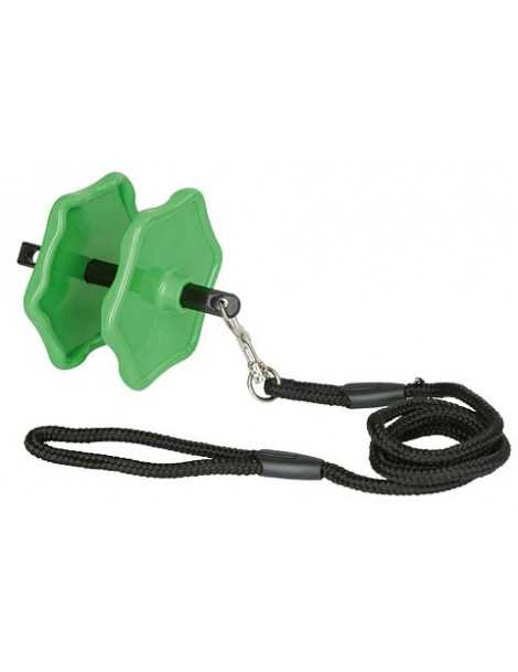 Dr�iak k�mnych lizov na Del�ziu