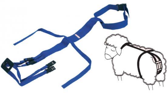 Band� nylonov� pre ovce