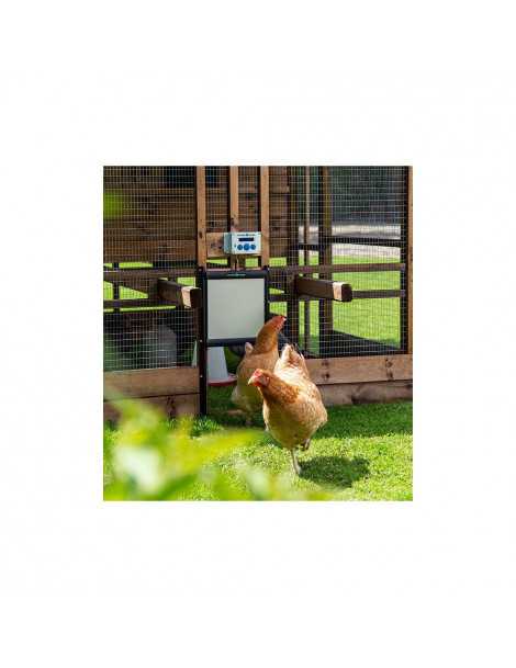 Dvere pre automatick� zatv�ranie kur�nu CHICKENGU