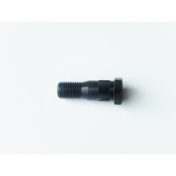 Skrutka M16x50 LIAB 5/72 �TR 165