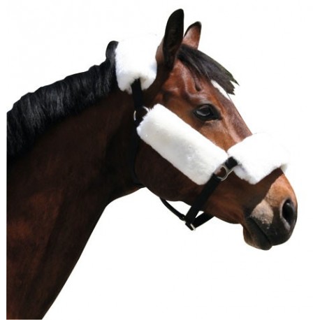 Chr�ni� na ohl�vku z prav�ho barana