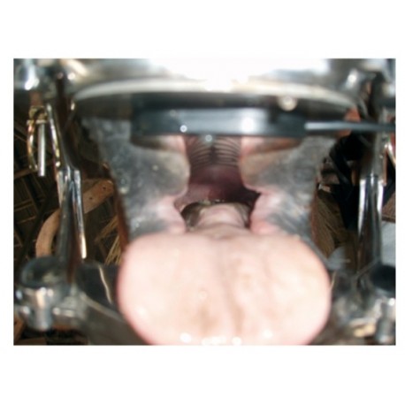 EQUIVET dent�lne svetlo