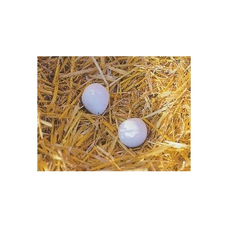 Hniezdov� vaj��ka pre sliepky hlinen�