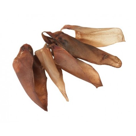 Hov�dzie u�i - 10 ks