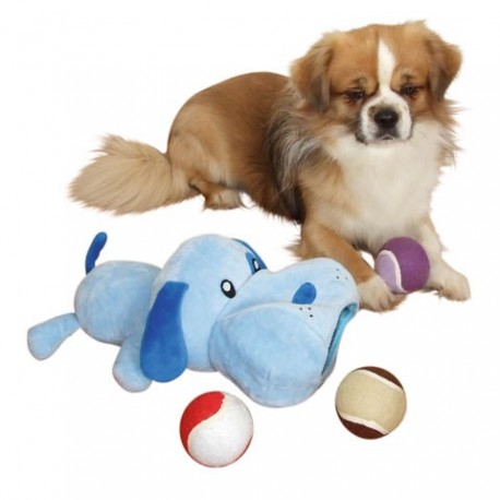 Hra�ka ps�k s tenis�kmi