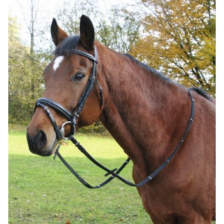 Kerbl Exclusive uzde�ka pre ko�a anglick� 