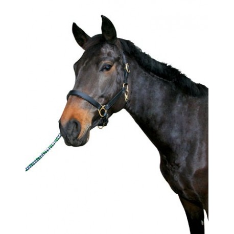 Ko�en� ohl�vka �ierna