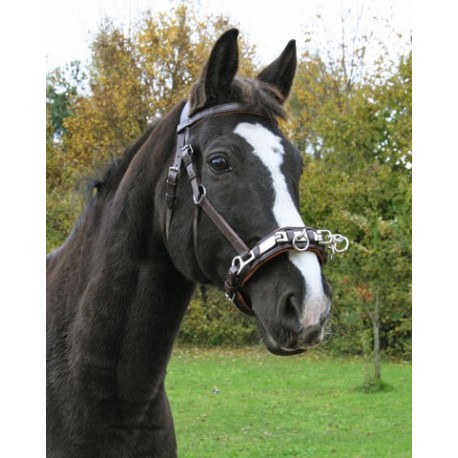 Lon�ovacia ohl�vka pre Plnokrvn�kov