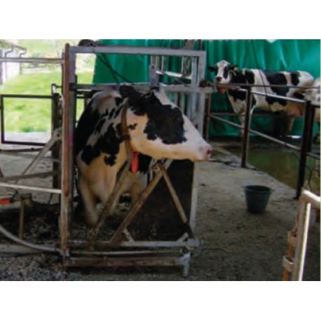 M6-fixa�n� klietka sklopn� mobiln�