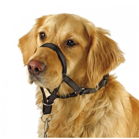 MAXI COACH v�cvikov� ohl�vka - do 38cm