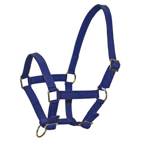 Nylonov� ohl�vka CLASSIC pre �rieb�t�, modr�