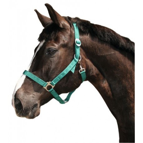 Nylonov� ohl�vka CLASSIC ve�.�. 4