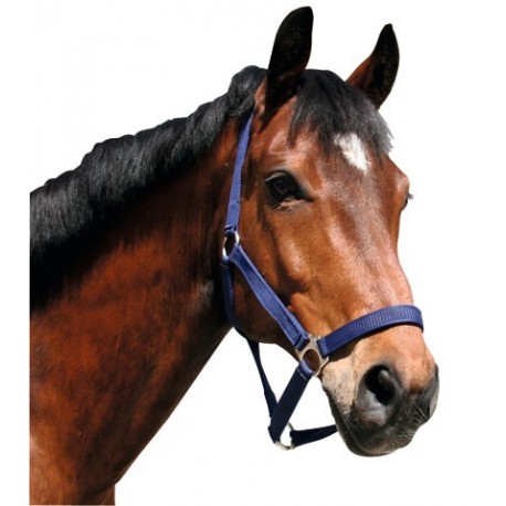 Nylonov� ohl�vka CLASSIC ve�kos� 5 farba:modr�