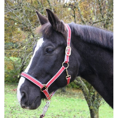 Nylonov� ohl�vka Exklusiv 