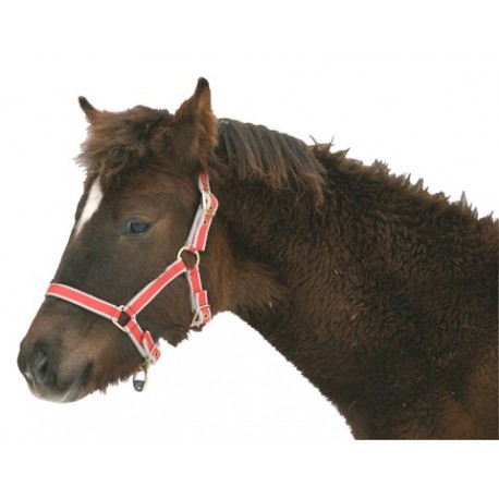 Nylonov� ohl�vka Exklusiv pre �rieb�t�