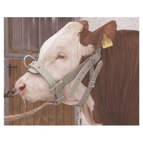 Ohl�vka pre b�kov