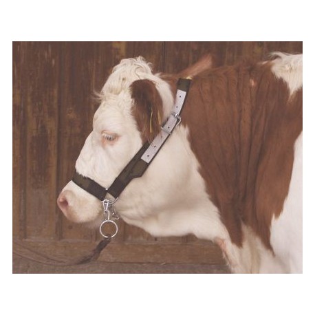 Ohl�vka pre kravy s retiazkou pod bradou