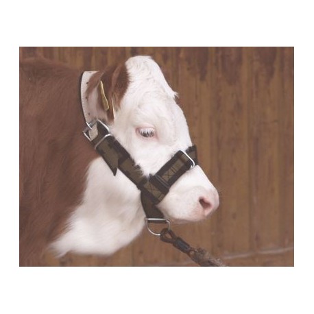 Ohl�vka pre te�at�