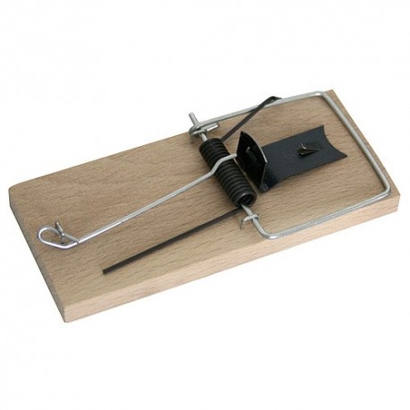 Pasca na my�i dreven�