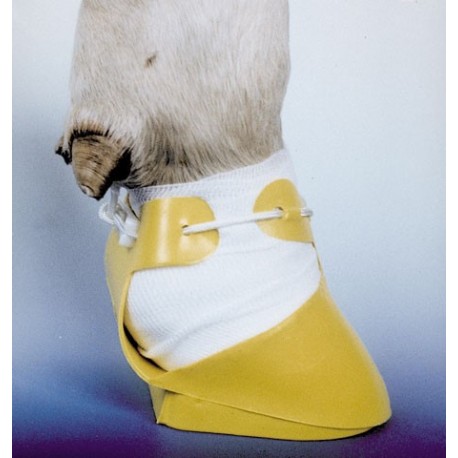 Paznechtov� papu�a SHOOF stredn�,   prav�