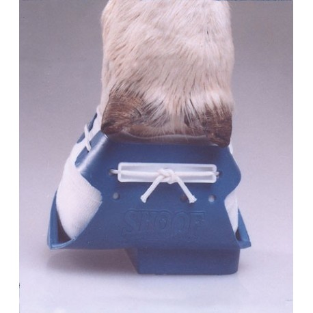 Paznechtov� papu�a SHOOF ve�k�,   �av�