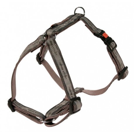 Postroj Shine 25mm/65-100cm L