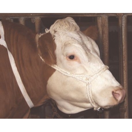 Sisalov� ohl�vka s kr��kom dvojit�,   7 x 35