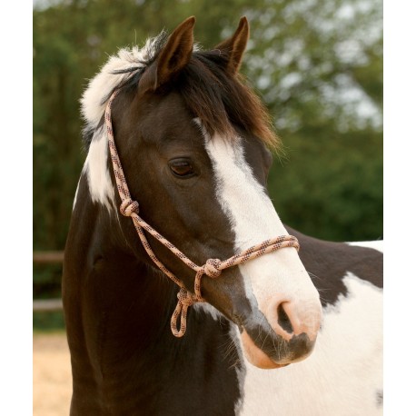 �pag�tov� ohl�vka 