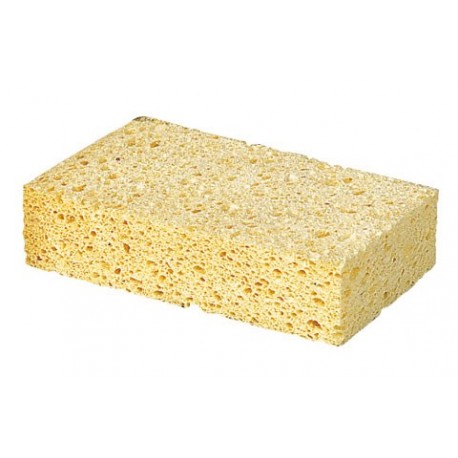 �pongia visk�zna