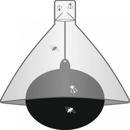 TaonX pasca proti ovadom