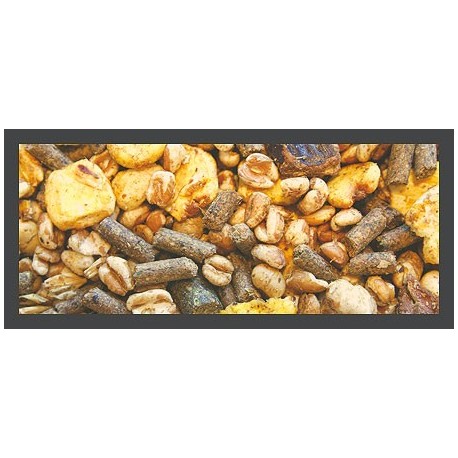 Top Super Sport  20 kg