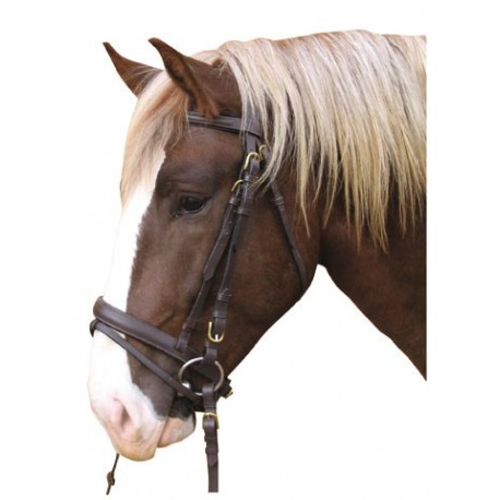 Uzde�ka pre chladnokrvn�ka 