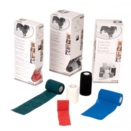 VALUELINE flexibiln� band� 10cm x 4,5m, biela