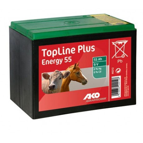 Zinkovo � uhl�kov� such� bat�rie 9V, 55AH special