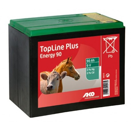 Zinkovo � uhl�kov� such� bat�rie 9V, 90AH special